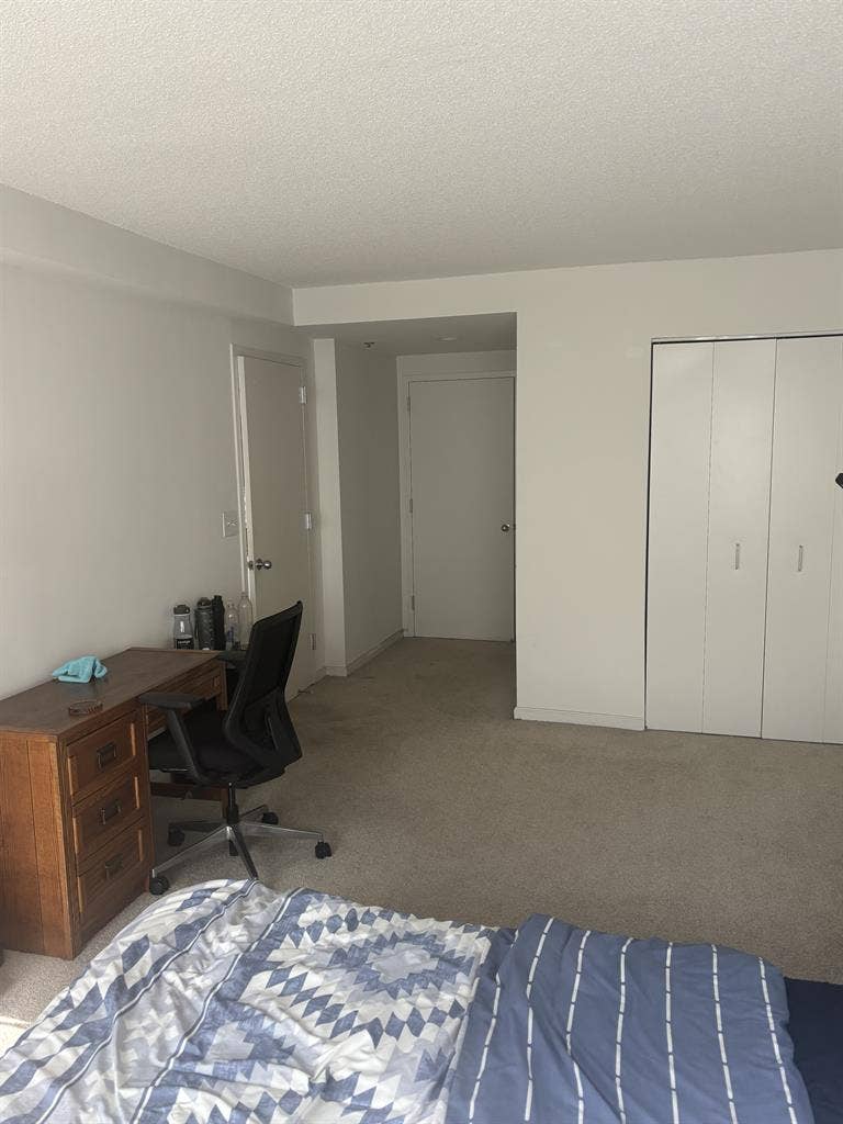 Looking for a New Roommate
