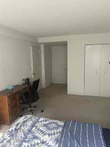 Looking for a New Roommate