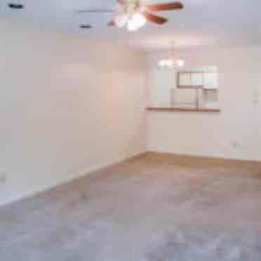 Spot available for sublease