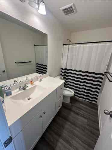 Looking for roommate