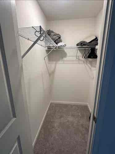 Looking for roommate