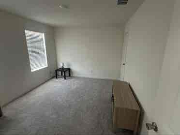 Looking for roommate