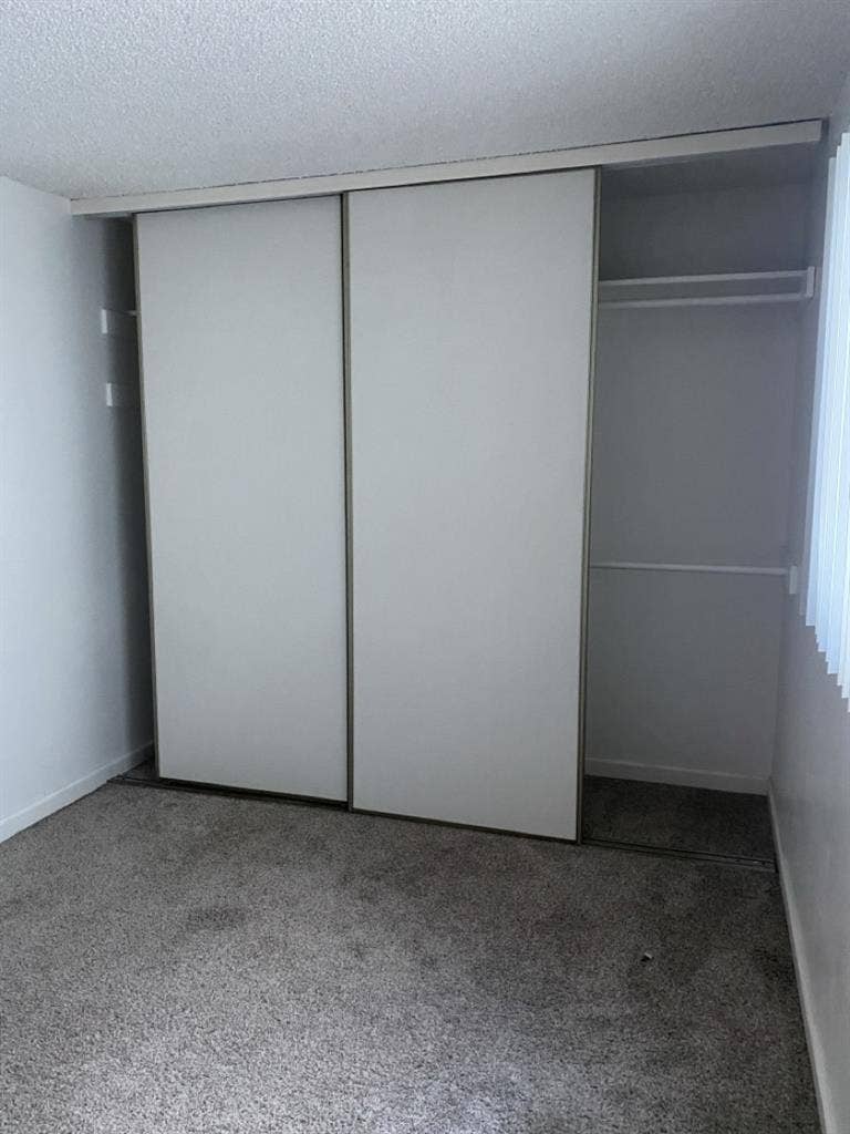 Female Roommate