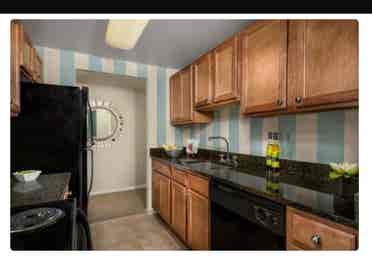 Private room for Rent