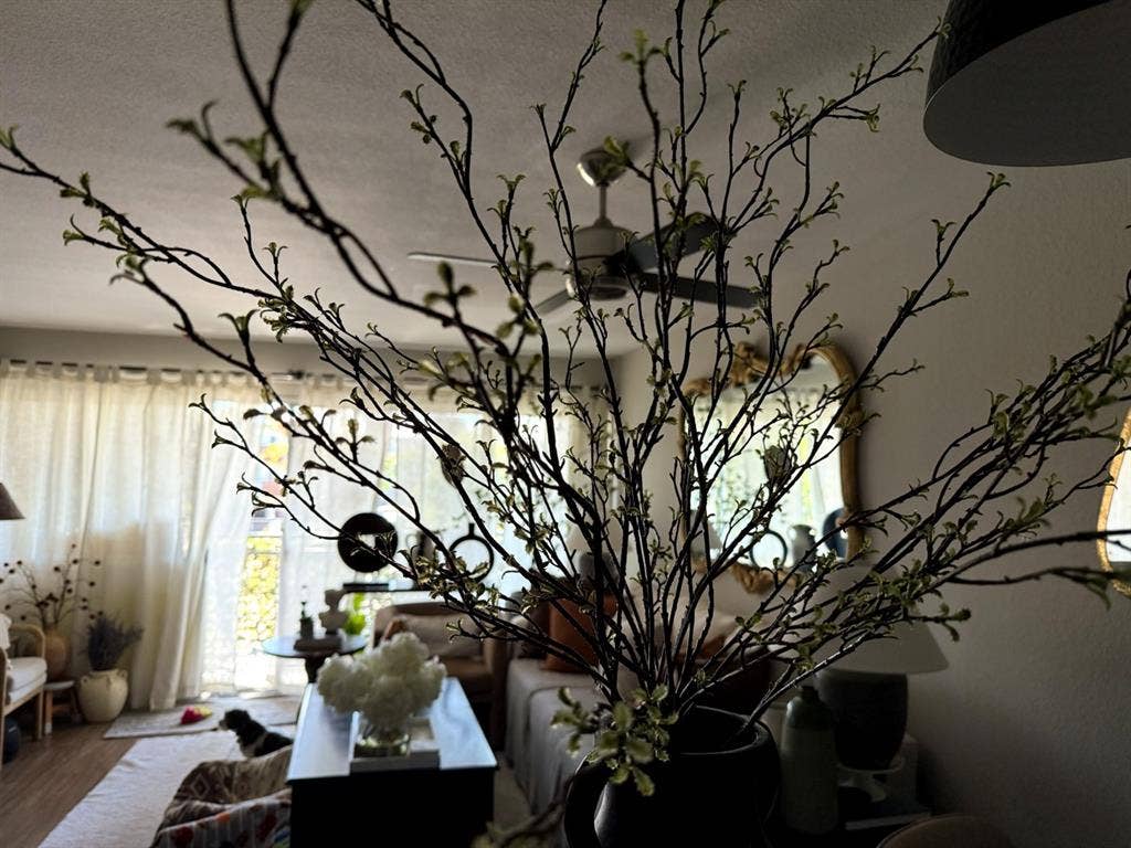 🏡Sunny Furnished 
 Room 4 Rent