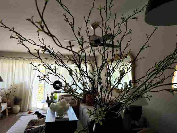 🏡Sunny Furnished 
 Room 4 Rent