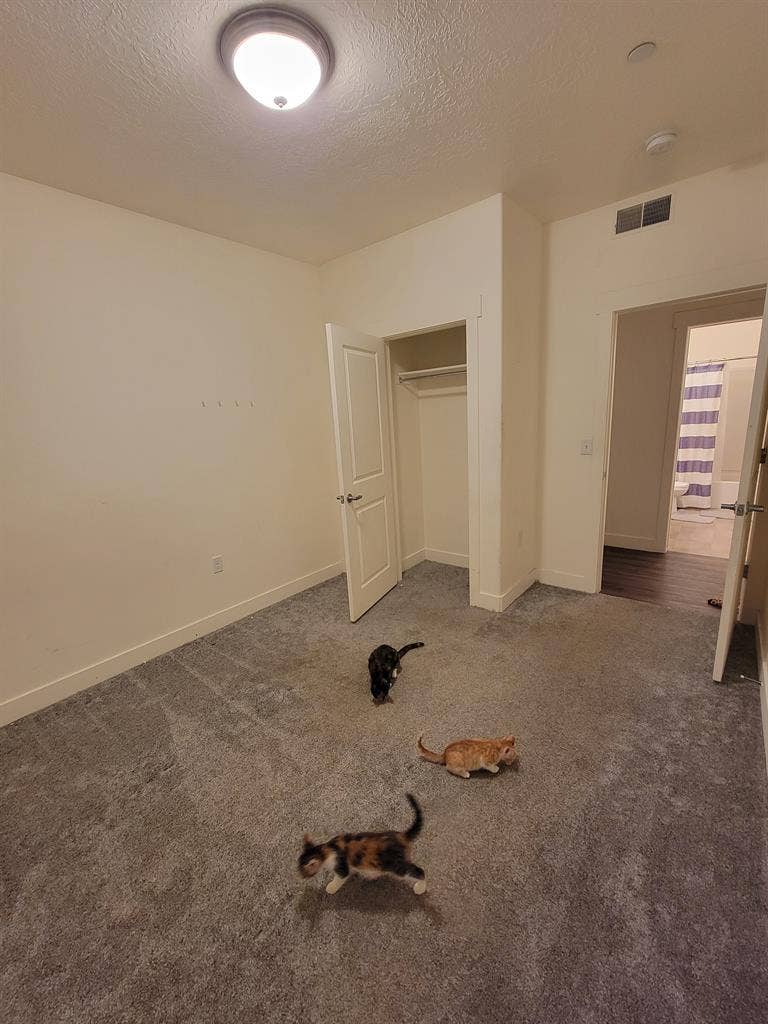 Private room with shared bath