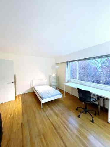 Downtown Vancouver! Female roomies!