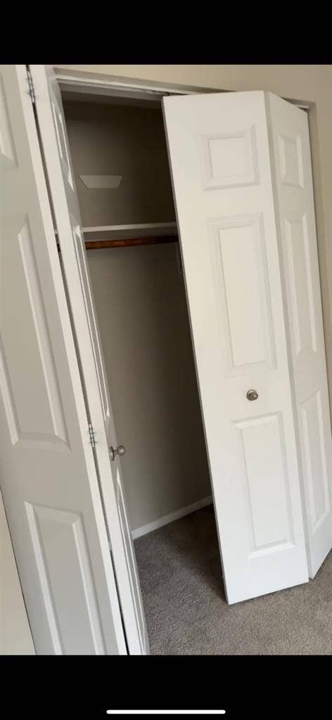 Roommate needed