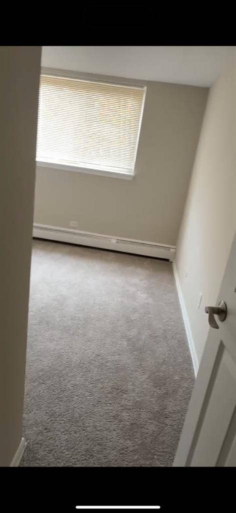 Roommate needed