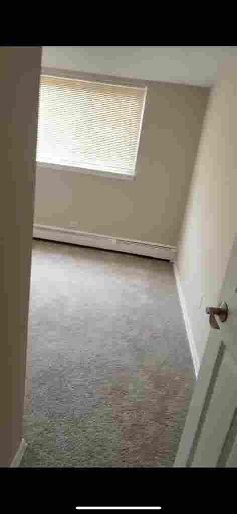 Roommate needed