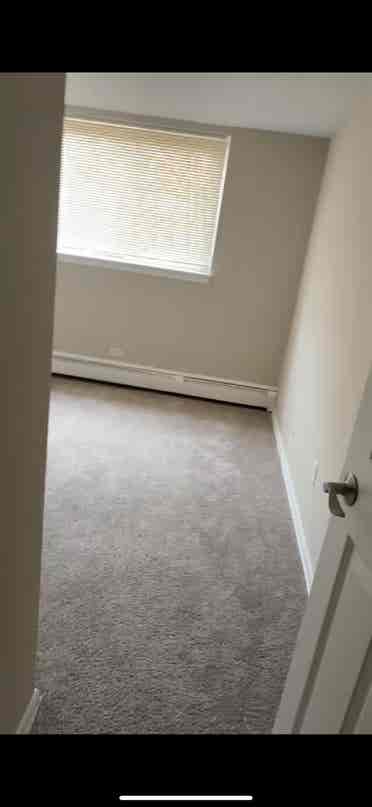 Roommate needed