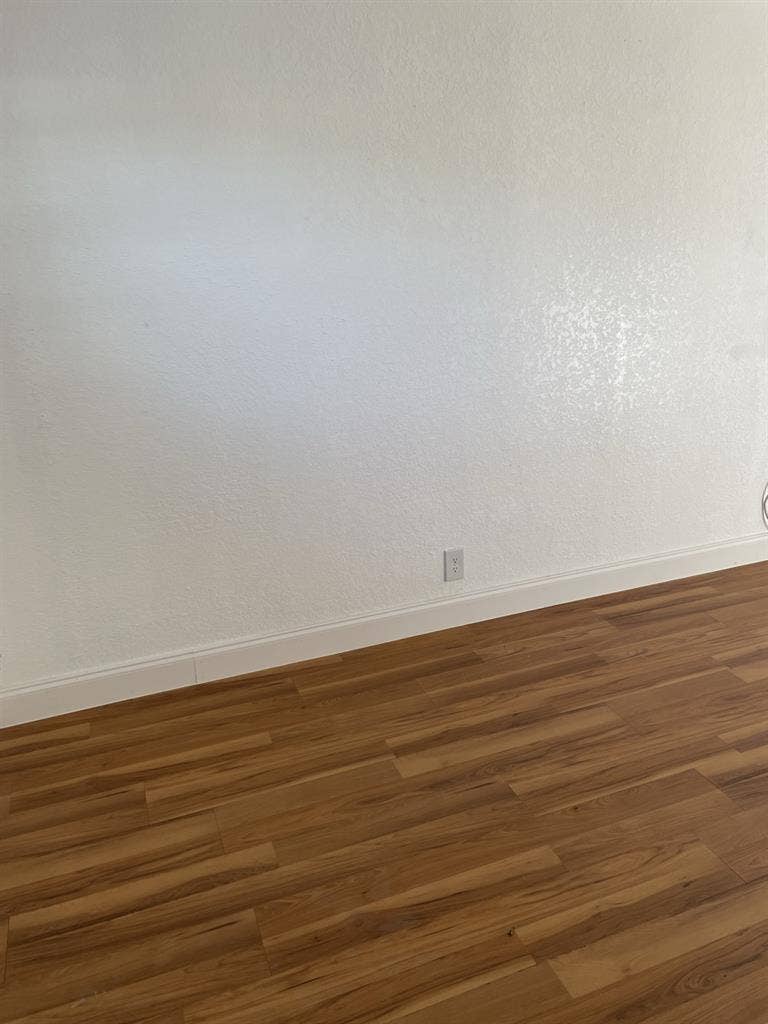 🌴 Brand-New Efficiency / Studio 🌴