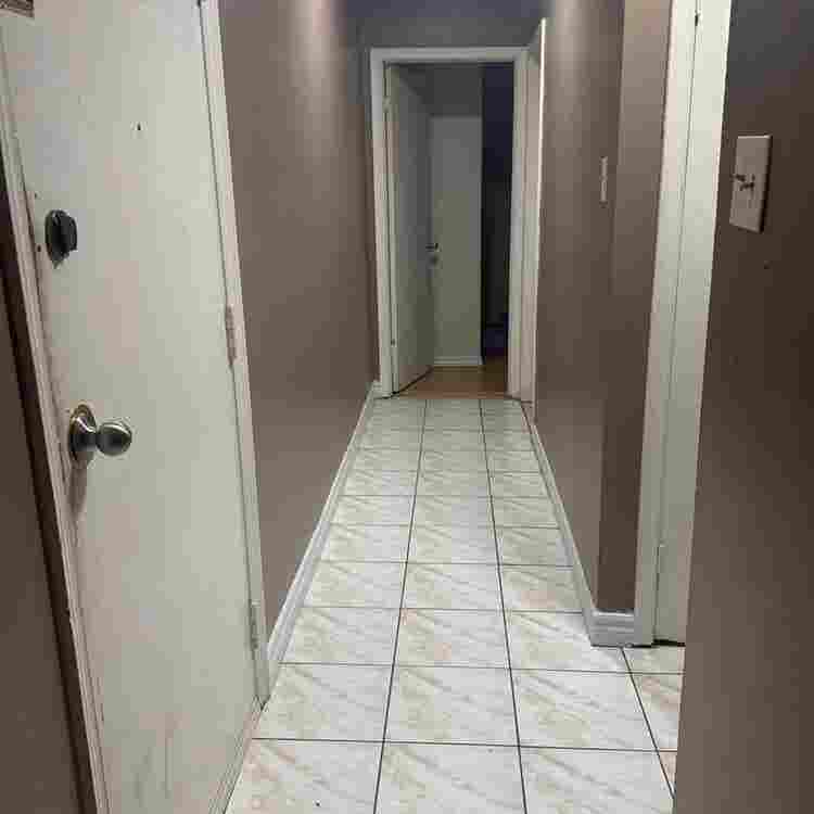 Urgently needing a roommate