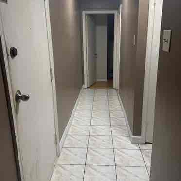 Urgently needing a roommate