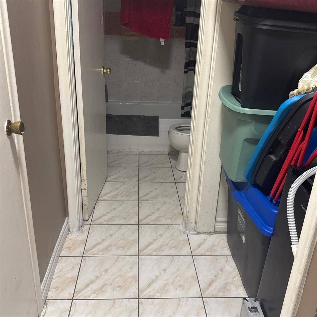 Urgently needing a roommate