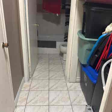 Urgently needing a roommate