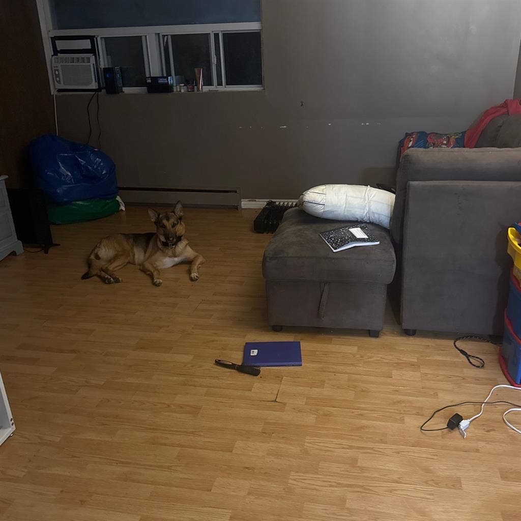 Urgently needing a roommate