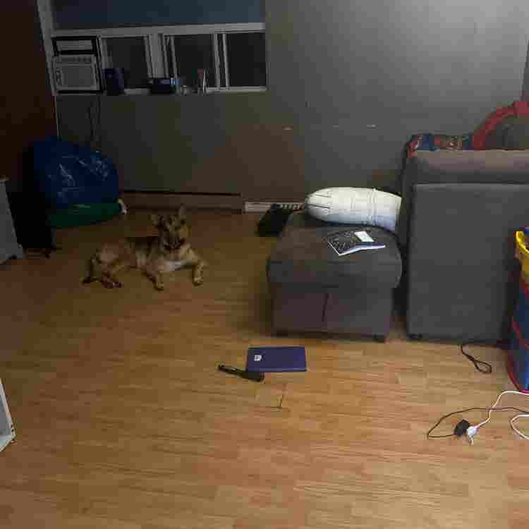 Urgently needing a roommate