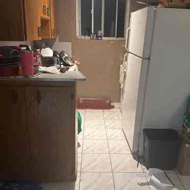 Urgently needing a roommate