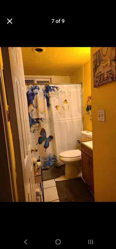 Roommate wanted for free