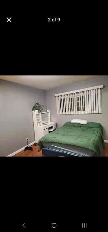 Roommate wanted for free
