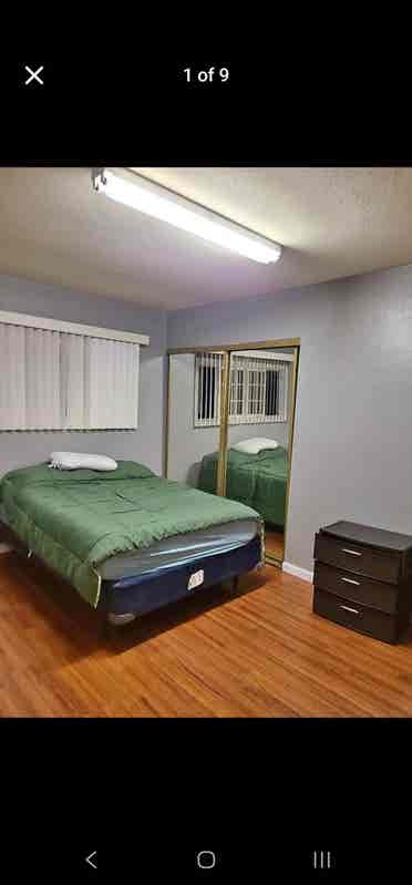 Roommate wanted for free