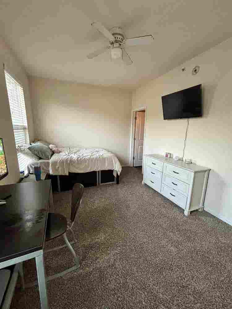 Room for rent!