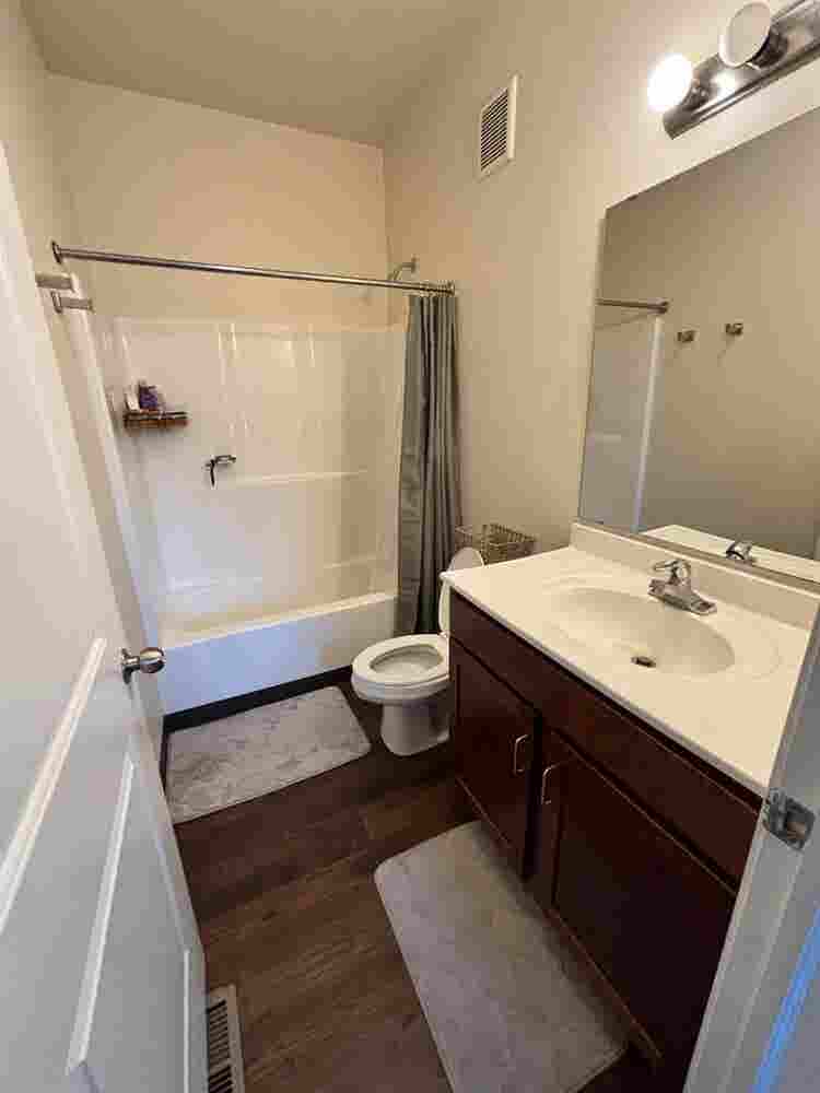 Room for rent!