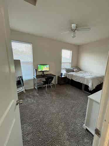 Room for rent!