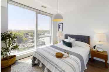 Room in Yonge & Eglinton - Sept 1st