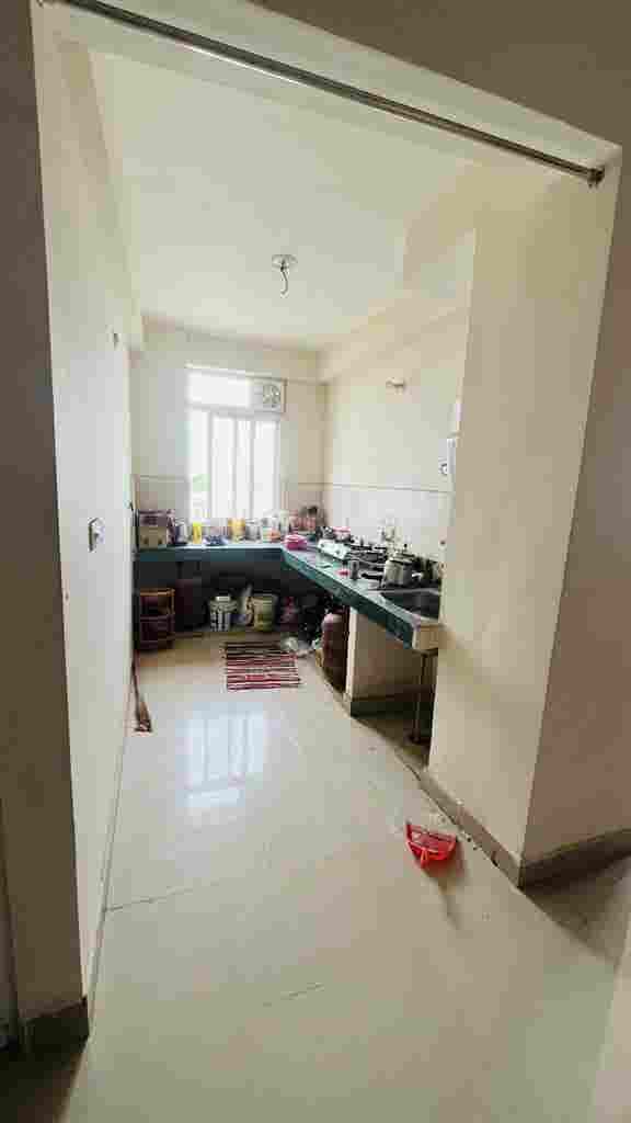 Need a male flatmate