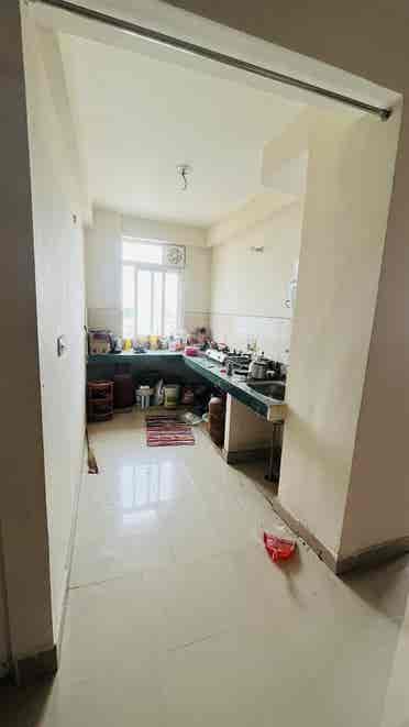 Need a male flatmate