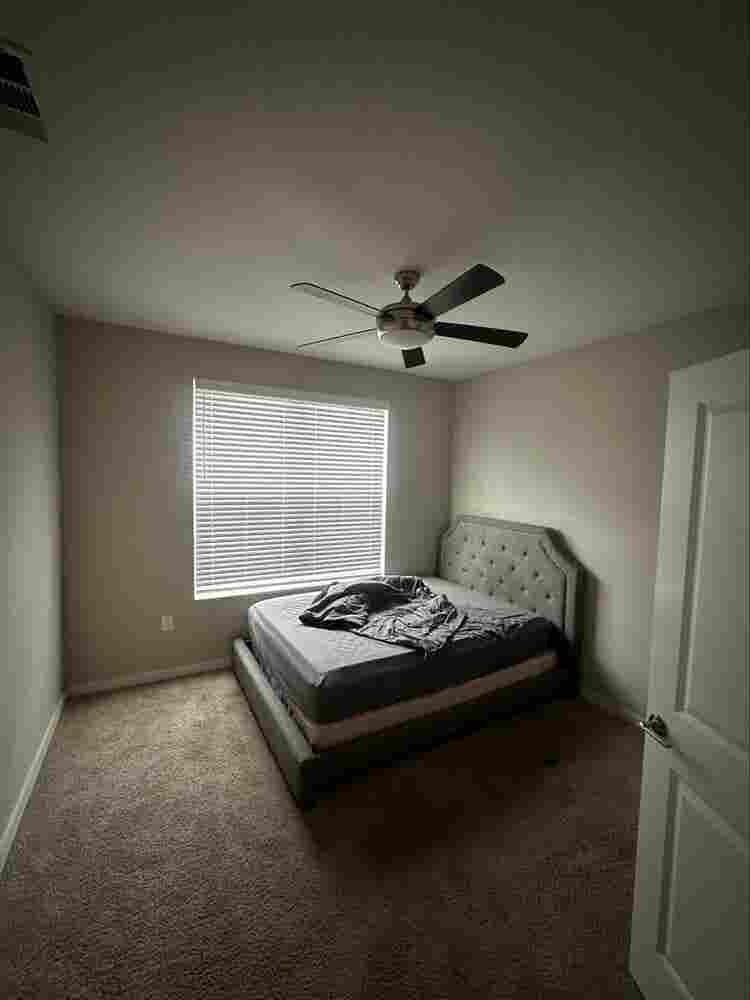 Looking for roommate