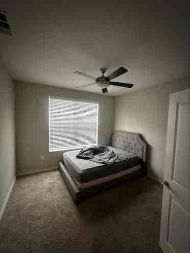 Looking for roommate