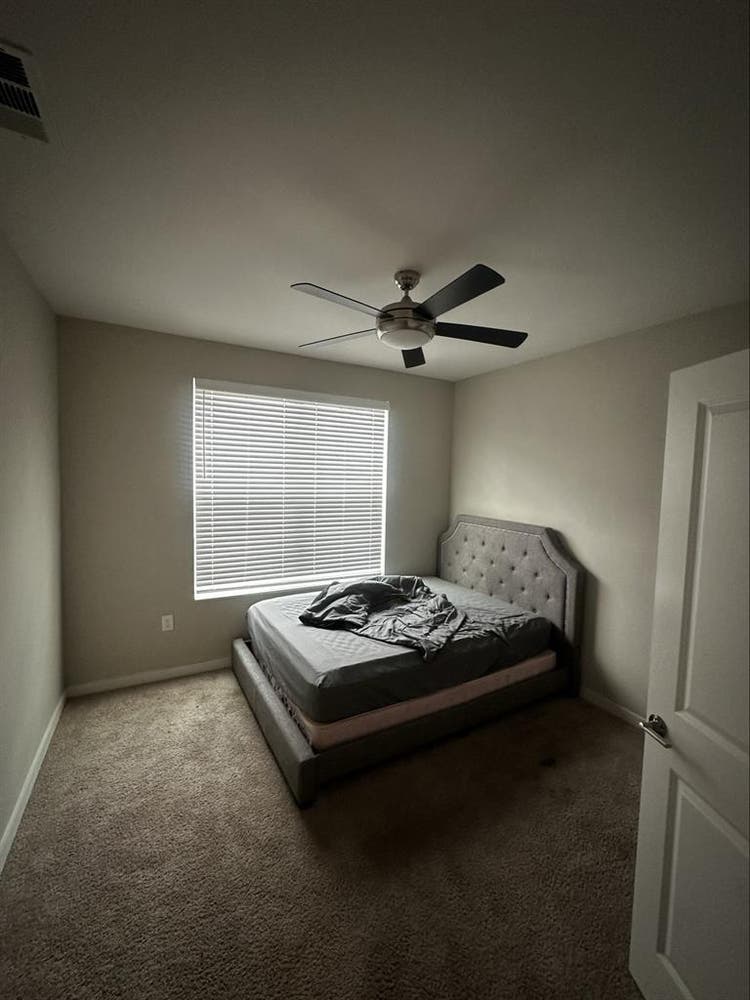 Looking for roommate