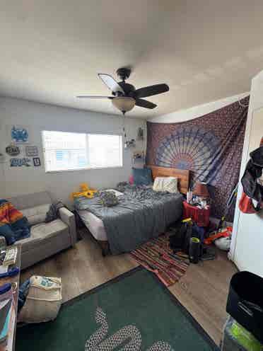 Room in central Normal Heights!