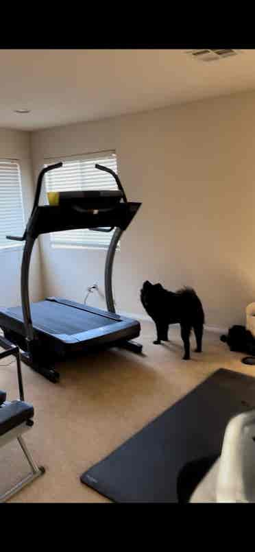 Room for Rent / Roommates