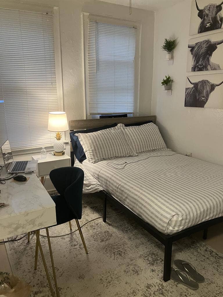 Charming Room in Downtown Apt