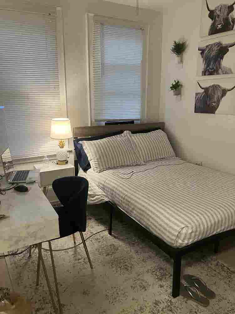 Charming Room in Downtown Apt