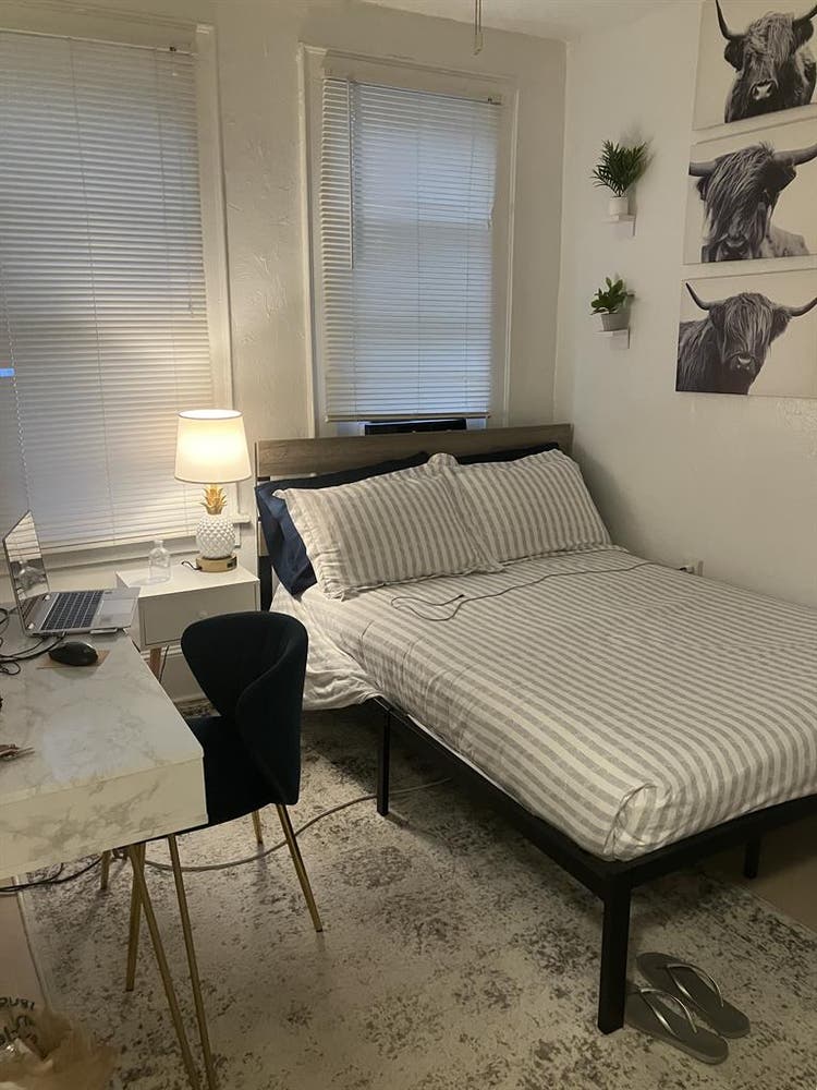 Charming Room in Downtown Apt