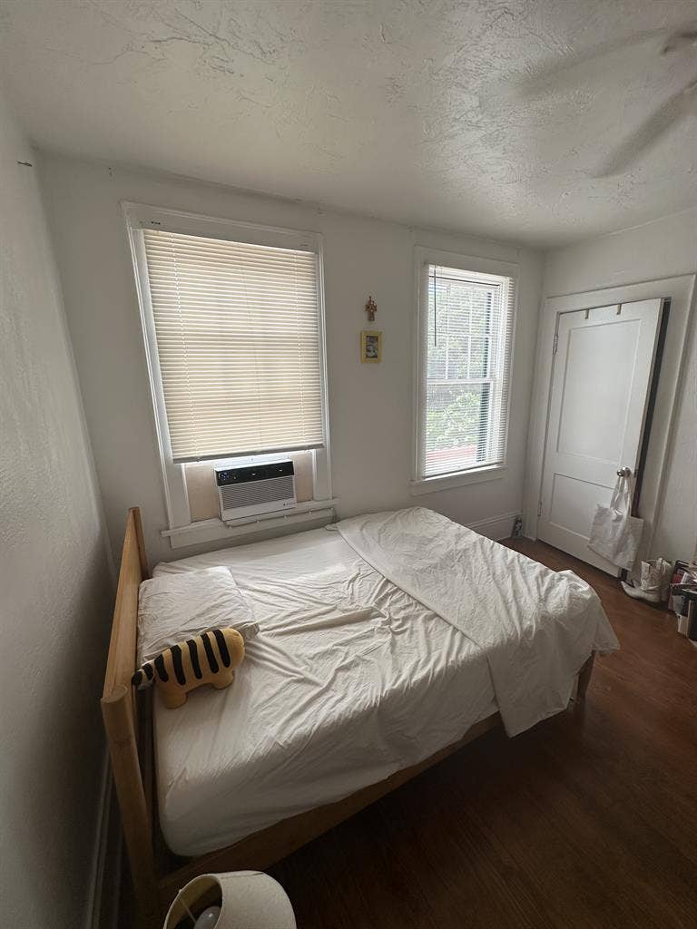 Charming Room in Downtown Apt