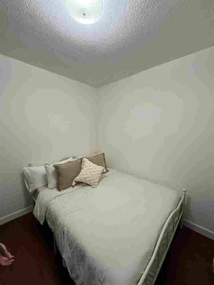 Looking for a roomie in edgewater