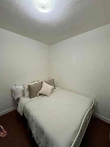 Looking for a roomie in edgewater