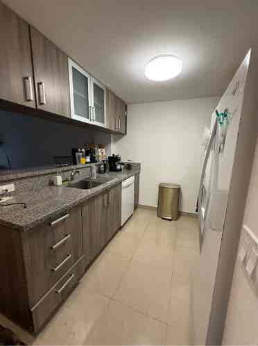 Looking for a roomie in edgewater