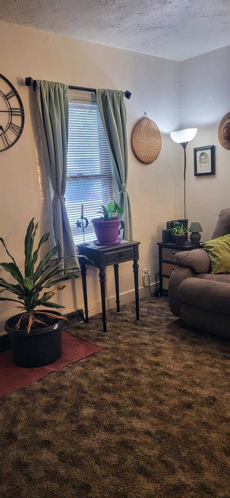 Female over  room for rent