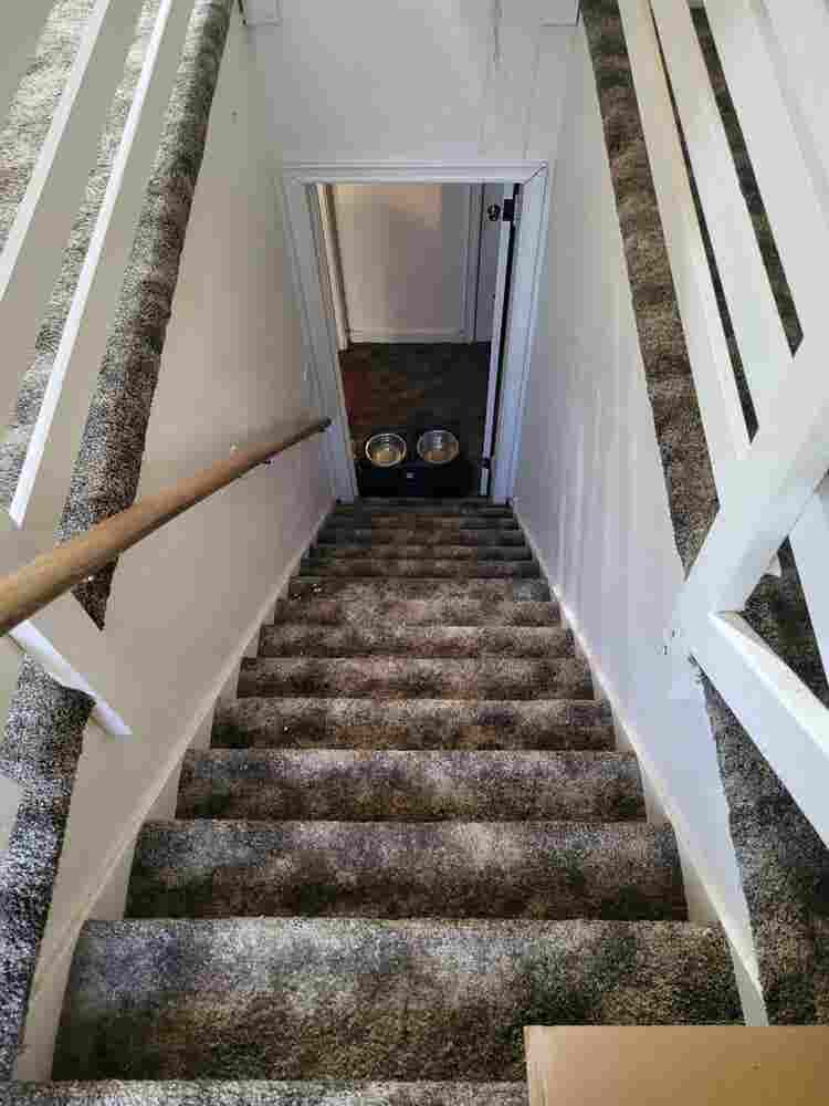 Female over  room for rent