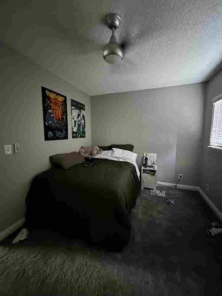 ba for rent (roommate)