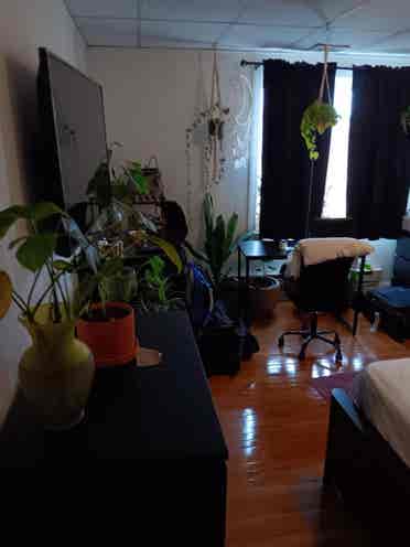 One bedroom 