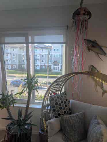 Motto Apartments in Marysville,